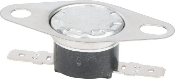 00491738 Termostat